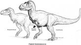 Pregnant T. Rex Discovered... And It Might Still Have DNA