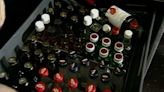 Study shows drinking alcohol on flights poses health risk - KYMA