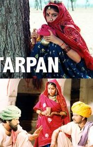 Tarpan