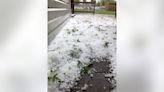 Orland Park hit hard by hail
