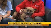 Give! Pikes Peak: All Breed Rescue & Training