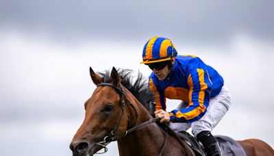 Curragh debut winner with 'plenty of class' according to trainer Aidan O'Brien backed into favourite for 2025 Derby