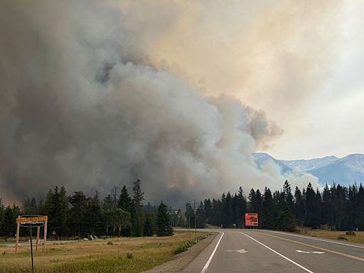 How much did Jasper's dead, beetle-killed trees feed the runaway wildfire?