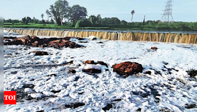 Health Crisis: Toxic Vegetables from Musi River Contaminate Hyderabad's Food Supply | Hyderabad News - Times of India