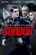 FREE EPIX: CONDOR