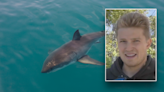 California surfer survives encounter with shark who displayed ‘aggressive’ behavior