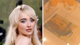 Sabrina Carpenter Had A Leonardo DiCaprio-Themed 25th Birthday Cake That You Have To See