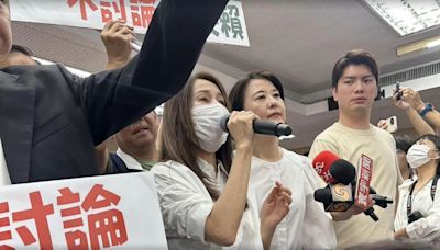 藍綠為選罷法修正發起「甲級動員」 內政委員會兩黨對峙！