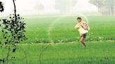 Survey calls for urgent reforms in agri sector