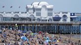 Seagulls could be cause of pollution that might keep bathers out of the sea