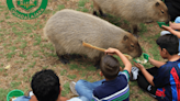 Vacaciones de Verano: ¿Cuánto cuestan los boletos para ir al Zoológico Guadalajara?