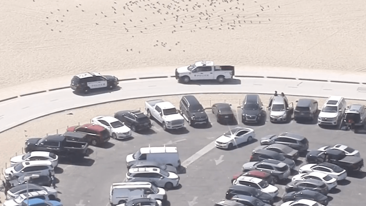 1 stabbed in fight involving large group of people on beach near Santa Monica Pier