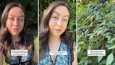 Gardener shares quick and simple method for relieving annoying poison ivy rashes: ‘You need to know this’