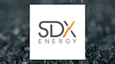 SDX Energy (CVE:SDX) Share Price Passes Below 50 Day Moving Average of $0.37