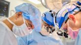 Latest organ transplant milestone: Pig hearts to brain-dead patients