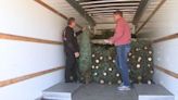 Hickory church sells Christmas trees to help families during holiday season