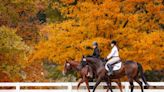 Thoroughbred Makeover Ambassador Award Nominations Now Open