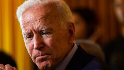 ... House Aide Anita Dunn Reveals Why President Joe Biden Left The Race Against Trump: 'It Was 24 Days Of...