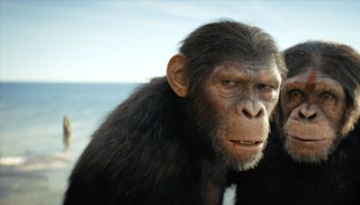 Box Office: ‘Kingdom of the Planet of the Apes’ Hits $237 Million Globally, ‘IF’ Nears $60 Million