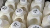There's Bird Flu in U.S. Dairy Cows. Raw Milk Drinkers Aren't Deterred.