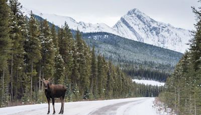 Plan a Spring Escape to Jasper – The Largest National Park in the Canadian Rockies