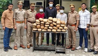 60kg cannabis being smuggled to Delhi seized, 3 arrested