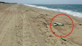 Beaches Covered in Shards and Debris as Giant Wind Turbine Shatters