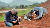 200-Million-Year-Old "Well-Preserved" Dinosaur Fossil Found After Brazil Flood