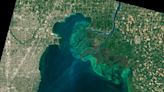 Health unit issues caution over blue-green algae bloom on Lake St. Clair