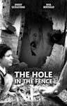 The Hole in the Fence