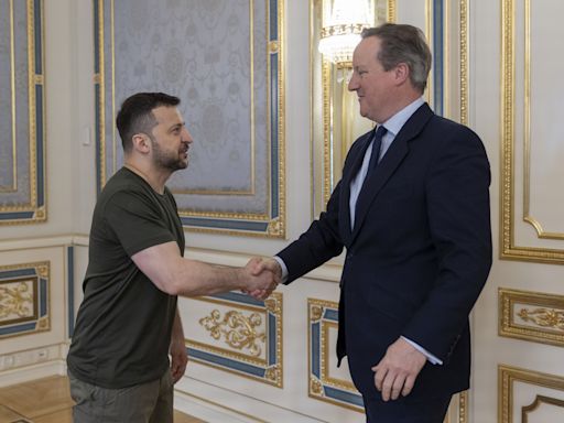 Zelenski informa del curso de la guerra a Cameron y pide que la ayuda británica llegue pronto