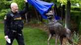 'Going to outlive all of us': Statue depicting fallen Omaha police dog restored