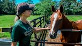 Hilton Head will be losing a unique equine experience. ‘One of the last little gems’