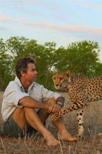 Man, Cheetah, Wild (TV Series 2013- ) — The Movie Database (TMDB)