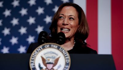 "Insanity" to fight Kamala Harris, US polling "Nostradamus" warns Democrats