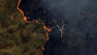 Matopiba passa a Amazônia e assume a liderança do desmatamento no Brasil - AMAZÔNIA BRASIL RÁDIO WEB