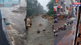 Landslide, Flood, Road Block: Heavy Rainfall Continues To Wreak Havoc In Madhya Pradesh | VIDEO