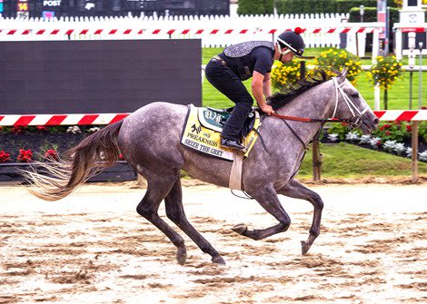 Seize the Grey 'Very Professional' in First Breeze Back