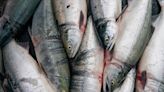 Alaska Senate proposes $7.5 million aid package for struggling fish processors