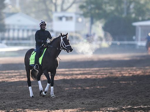 Catching Freedom jockey, trainer, odds and more to know about Kentucky Derby 2024 horse