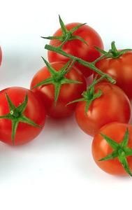 Ripe Tomatoes