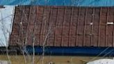 A cat is seen on the roof of a building in the flooded Russian city of Orenburg