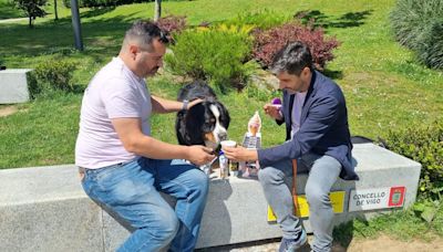 Helados para perros, el invento de una empresa gallega pionera en Europa: "Les refresca y les hidrata"