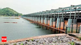 Not a drop of water in Rs 200 crore Karnataka dam built last year | India News - Times of India