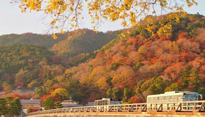 日本紅葉全攻略〡人氣景點/最新預測情報/時間表+北海道最早！