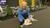 BBC Breakfast’s Carol Kirkwood dragged to floor by dog live on-air