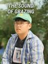 The sound of grazing