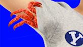 A Rumor About a Crabs Outbreak at Brigham Young University Sparks Talk of Armpit Sex