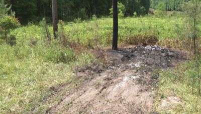 Family of missing Bamberg County woman searches for answers after discovery of human remains in burnt car