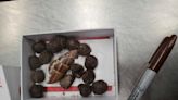 Giraffe poop seized at airport from passenger who had strange plans for it